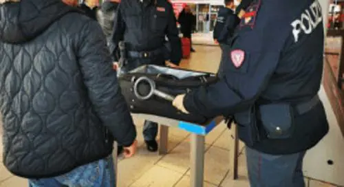 Le immagini dei bulbi di papavero da oppio sequestrati