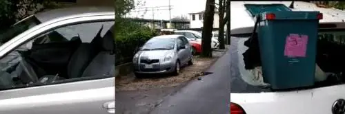 Dei frame da La Nuova Venezia