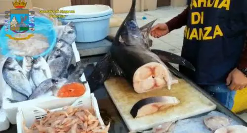 Pesce non tracciato in vendita al mercato