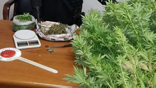 Ladispoli, preso spacciatore: in casa aveva un chilo di erba