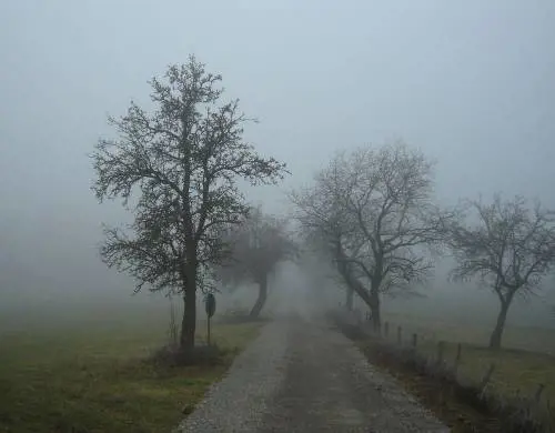 Meteo Immacolata, Italia spaccata in due: nebbie al Nord, primavera al Sud