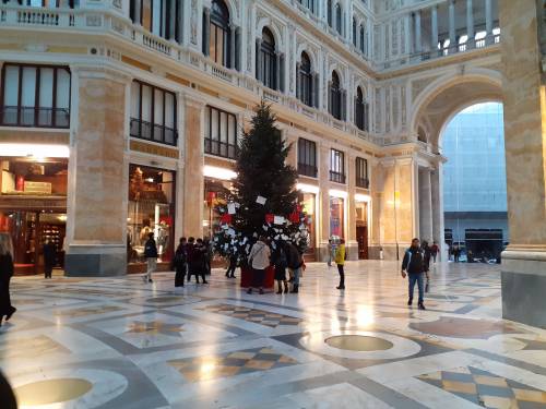 La tradizione si rinnova: l’albero di Natale Rubacchio torna nella Galleria Umberto