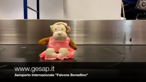 "Torna a prendermi" La tenera campagna per i peluche smarriti