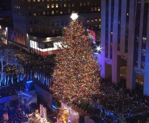 New York, l’albero di Natale più famoso al mondo è "figlio" di un italiano