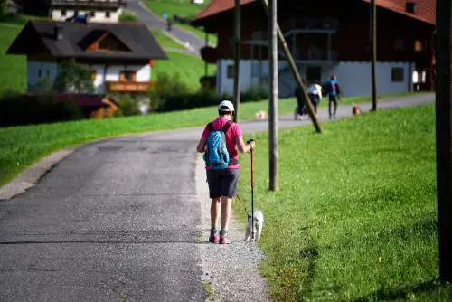 Lo sport riduce del 51% il rischio di tumore alla prostata