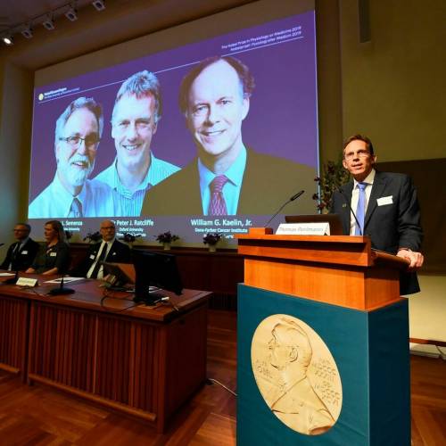 I Nobel per la medicina: l'ossigeno per curare anemia e cancro