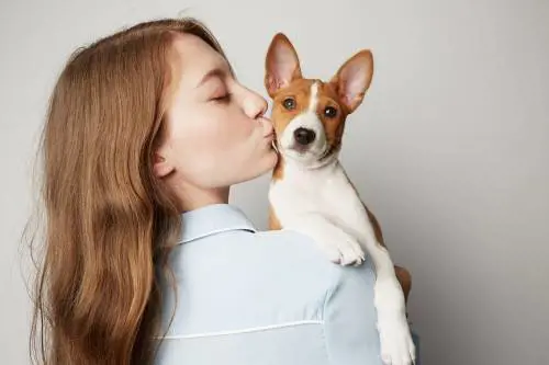 A lezione per imparare a gestire un cucciolo quando c'è un bimbo
