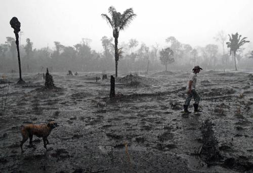 La sporca guerra in Amazzonia, Ecco cosa c'è (davvero) dietro