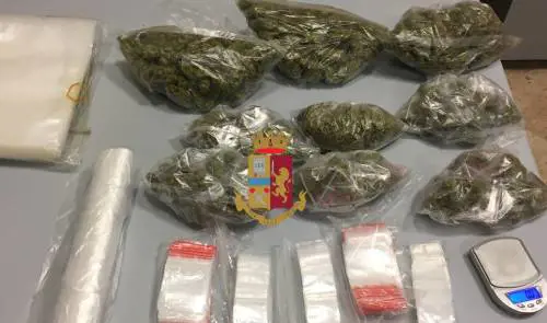 In casa le trovano la marijuana, arrestata