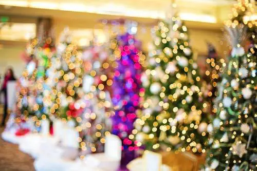 Cortocircuito alle luci di Natale: muore un 83enne, in salvo moglie e figlia