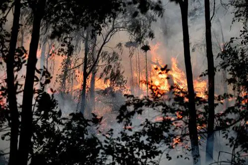 Banche, ora spunta il "Cigno verde": così potrà avere effetti devastanti