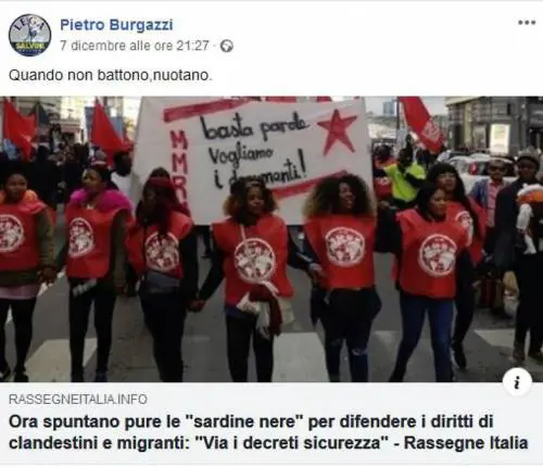 'Se non battono, nuotano'. Bufera sul leghista per il post sulle "sardine nere"