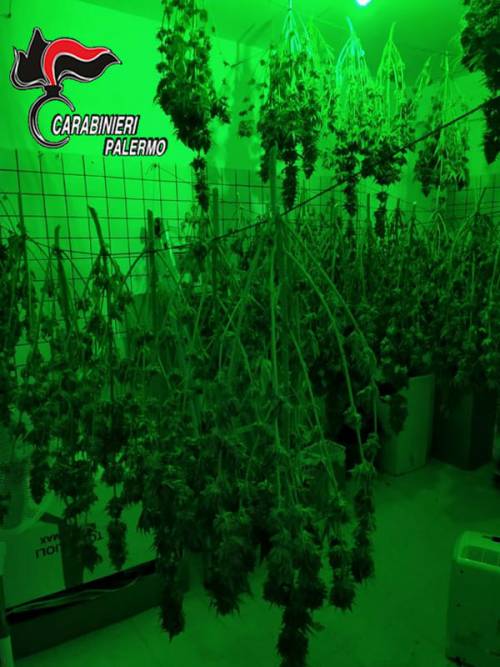 Rubavano elettricità per coltivare cannabis: arrestati due fratelli