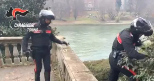 Immigrato aggredisce e butta a terra una ragazza: arrestato