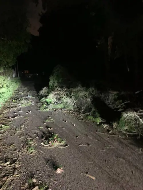 Alberi sradicati, tettoie divelte: l'incubo del vento in Sicilia