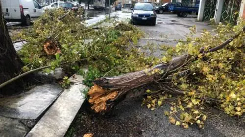 Vento e feriti: il Sud fa la conta dei danni della tempesta di Santa Lucia