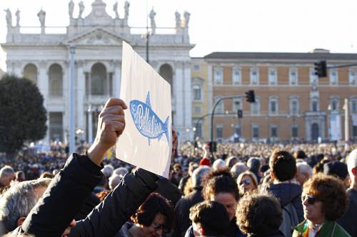 Dimezzate e stagionate Le sardine già boccheggiano