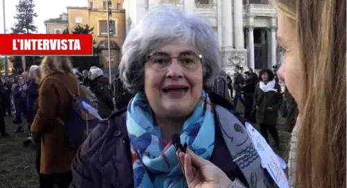 La sardina contro Il Giornale: "Fa male alla democrazia"