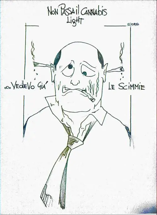 La vignetta del giorno - Cannabis light e le scimmie