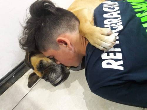 Cane muore per lo spavento dei fuochi d'artificio abbracciata al proprietario