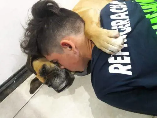 Cane muore per lo spavento dei fuochi d'artificio abbracciata al proprietario