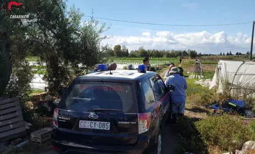 Trattati come "schiavi" per soli 2,5 euro all'ora: arrestati due agricoltori