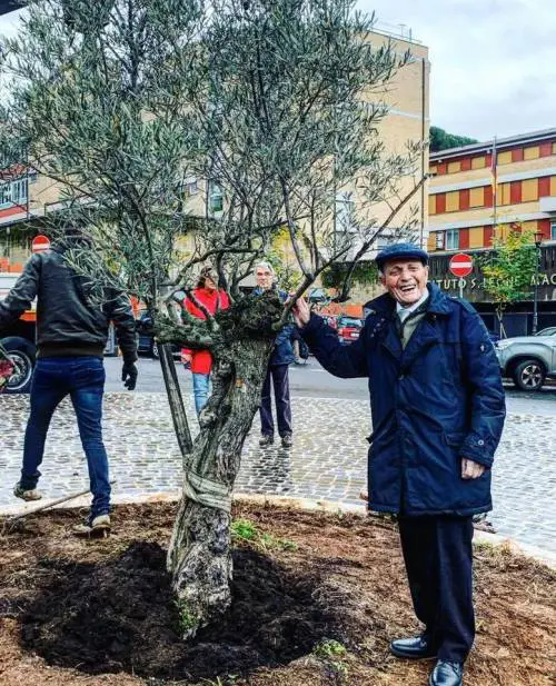 Così il web restituisce al centenario l'albero che la Raggi gli ha tolto