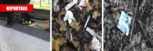 Villa Doria Pamphilij in balìa dei tossici e della prostituzione