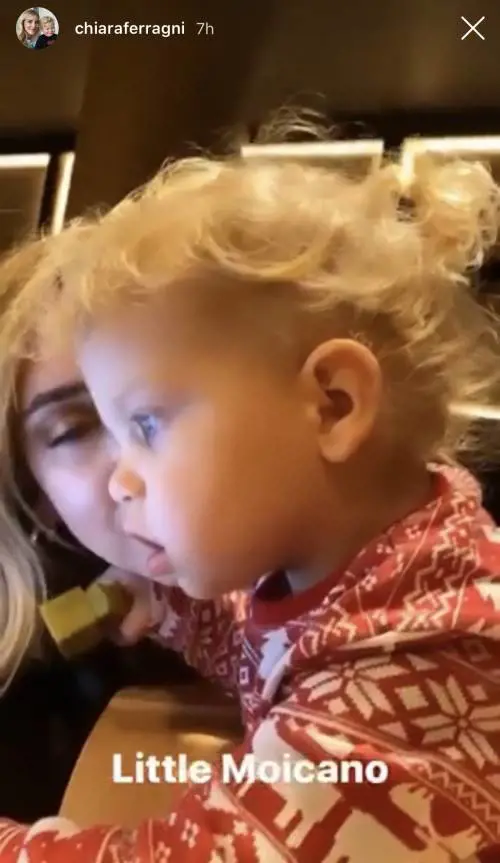 Leone alle prese col suo primo codino. La rete: "Sembra una bambina"