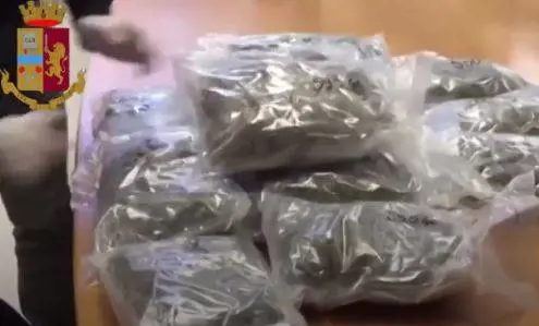 Va a tutta velocità e viene fermato da agenti in borghese, aveva 60 chili di marijuana nel furgone