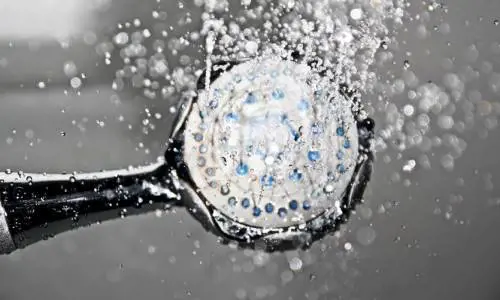 Bologna, poliziotti contro questore: "Tu comodo al caldo e noi con docce fredde"