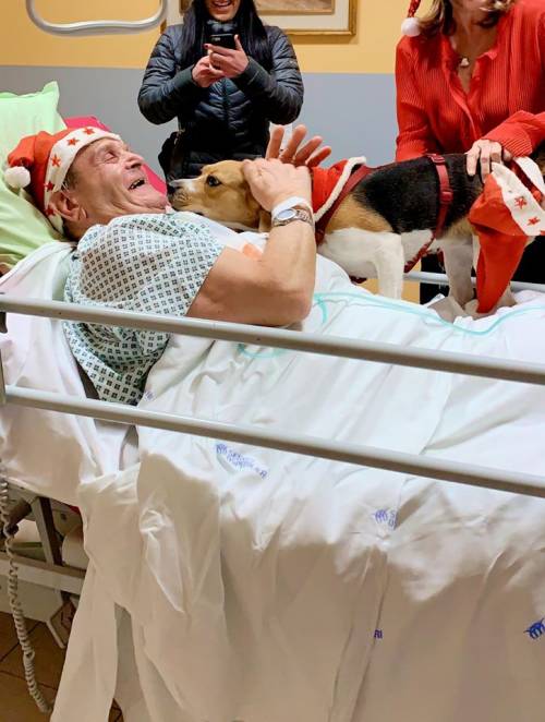 Imola, cane in ospedale per salutare l'amico ricoverato: paziente migliora dopo la visita