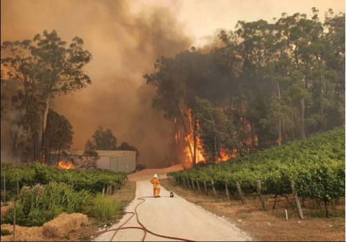 Australia, ancora emergenza incendi. Evacuate migliaia di persone