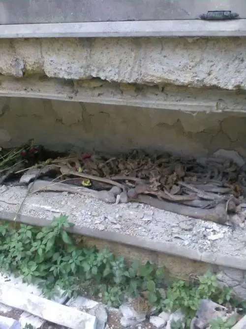 Lo scempio al cimitero: tra il degrado e l'incuria le ossa finiscono esposte