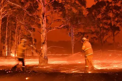 L'Australia brucia ancora e ora ci si rifugia in mare