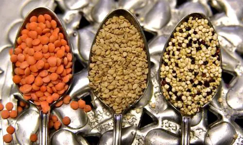 Lenticchie, fonte di benessere tutto l’anno