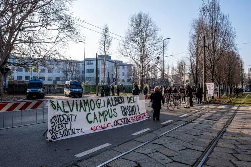 Politecnico, tagliati 35 alberi. Rabbia di quartiere e studenti