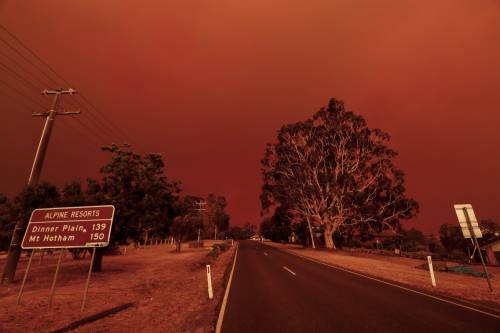 Australia: morto un miliardo di animali. Arrestati 180 piromani, 40 minorenni