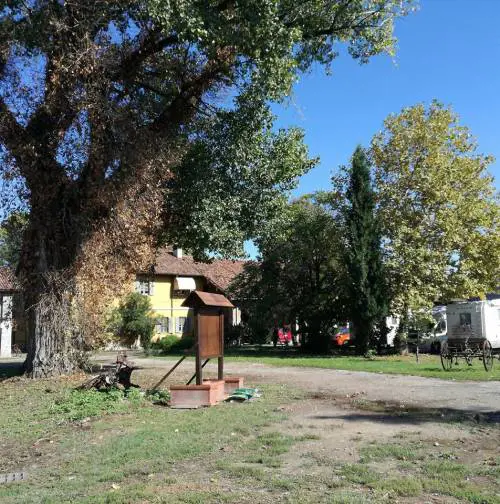 Anziana trovata morta e legata in un agriturismo, ipotesi rapina