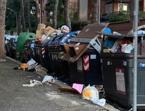 Rifiuti a Roma, Rita dalla Chiesa denuncia: "Una discarica sotto casa"