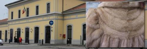 "Io, vittima della follia di una nazi-animalista"