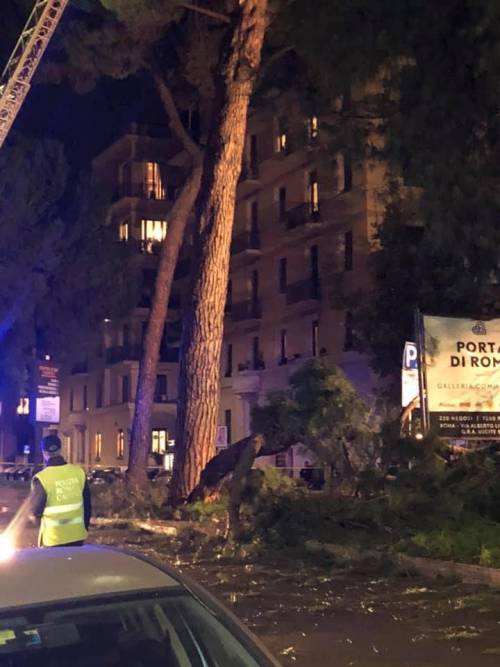 Roma, albero cade e colpisce auto: automobilista ferita