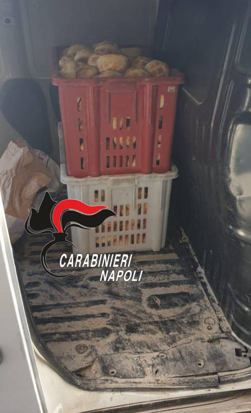 Pane e carciofi sequestrati a Napoli: le immagini dei carabinieri