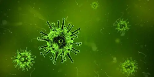 L’Escherichia Coli può causare le malattie cardiovascolari
