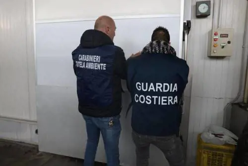 Calce edilizia al posto di quella alimentare: l'orrore scovato nell'azienda ittica