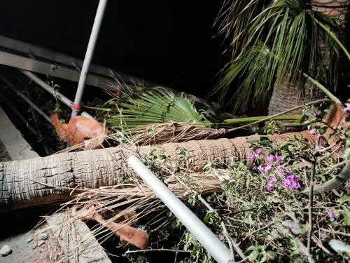 Crolla parete rocciosa su vecchia Aurelia, paura a Ventimiglia