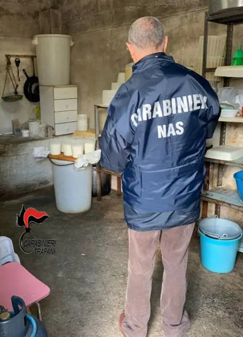 Formaggi prodotti in condizioni igieniche da incubo: denunciato un giovane