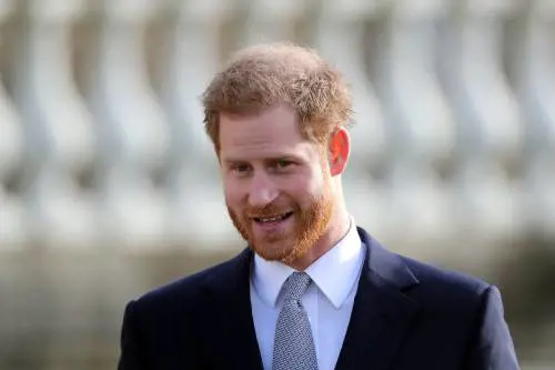 Harry torna al lavoro. Ma non ha perso il suo titolo nobiliare