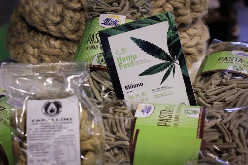La cannabis ora arriva anche a tavola: dai biscotti all'olio, ecco i prodotti