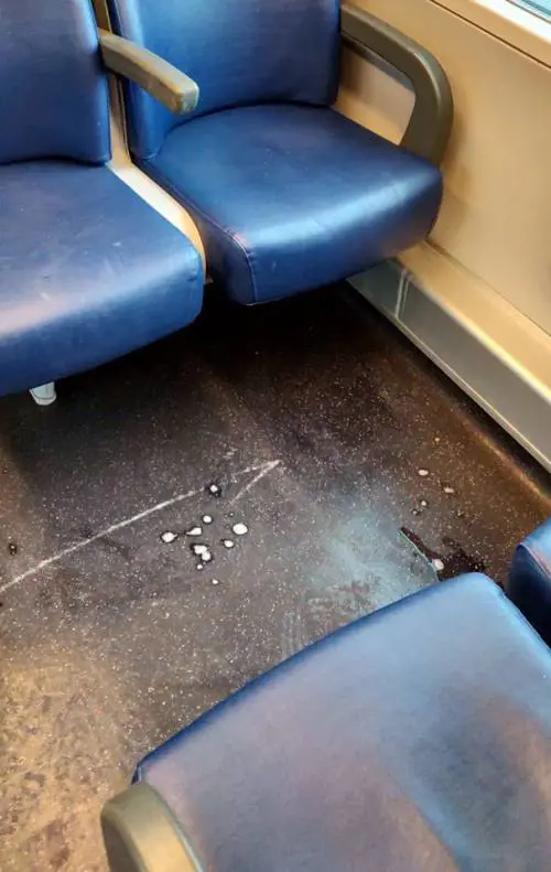 La studentessa denuncia: "Insulti e sputi sul treno solo perché sono cinese"